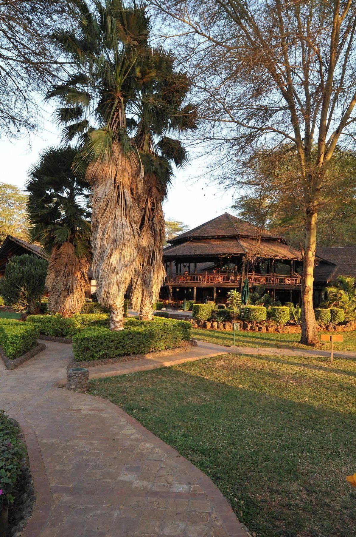 Ol Tukai Lodge Amboseli Extérieur photo