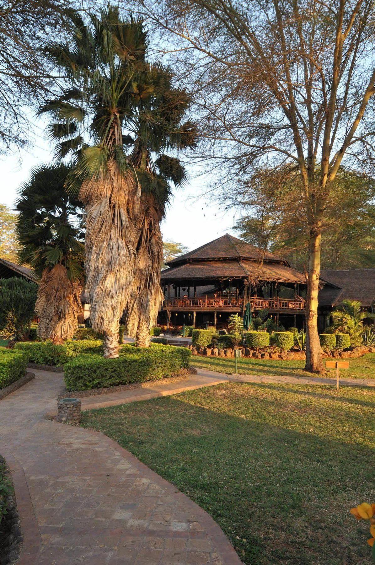 Ol Tukai Lodge Amboseli Extérieur photo